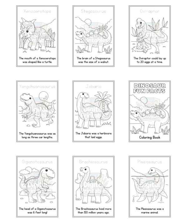 Dinosaurs Coloring Book