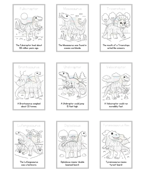 Dinosaurs Coloring Book