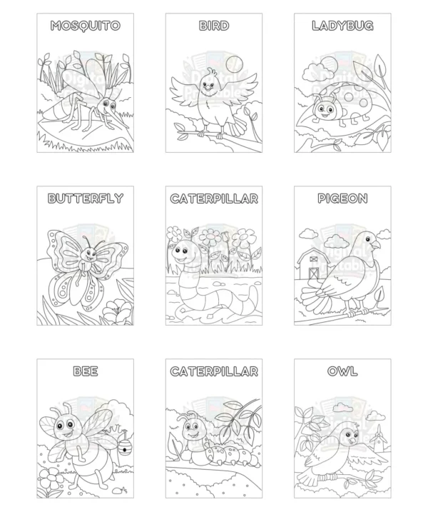 Garden Coloring Book