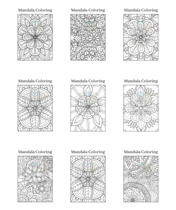 Mandala Coloring Book 2