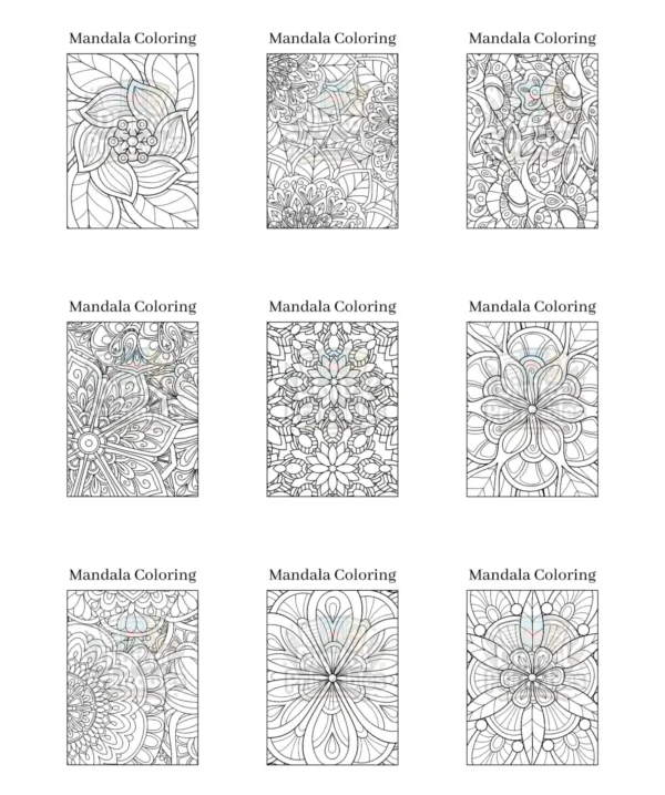 Mandala Coloring Book 2
