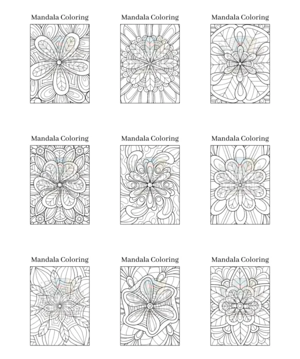 Mandala Coloring Book 2